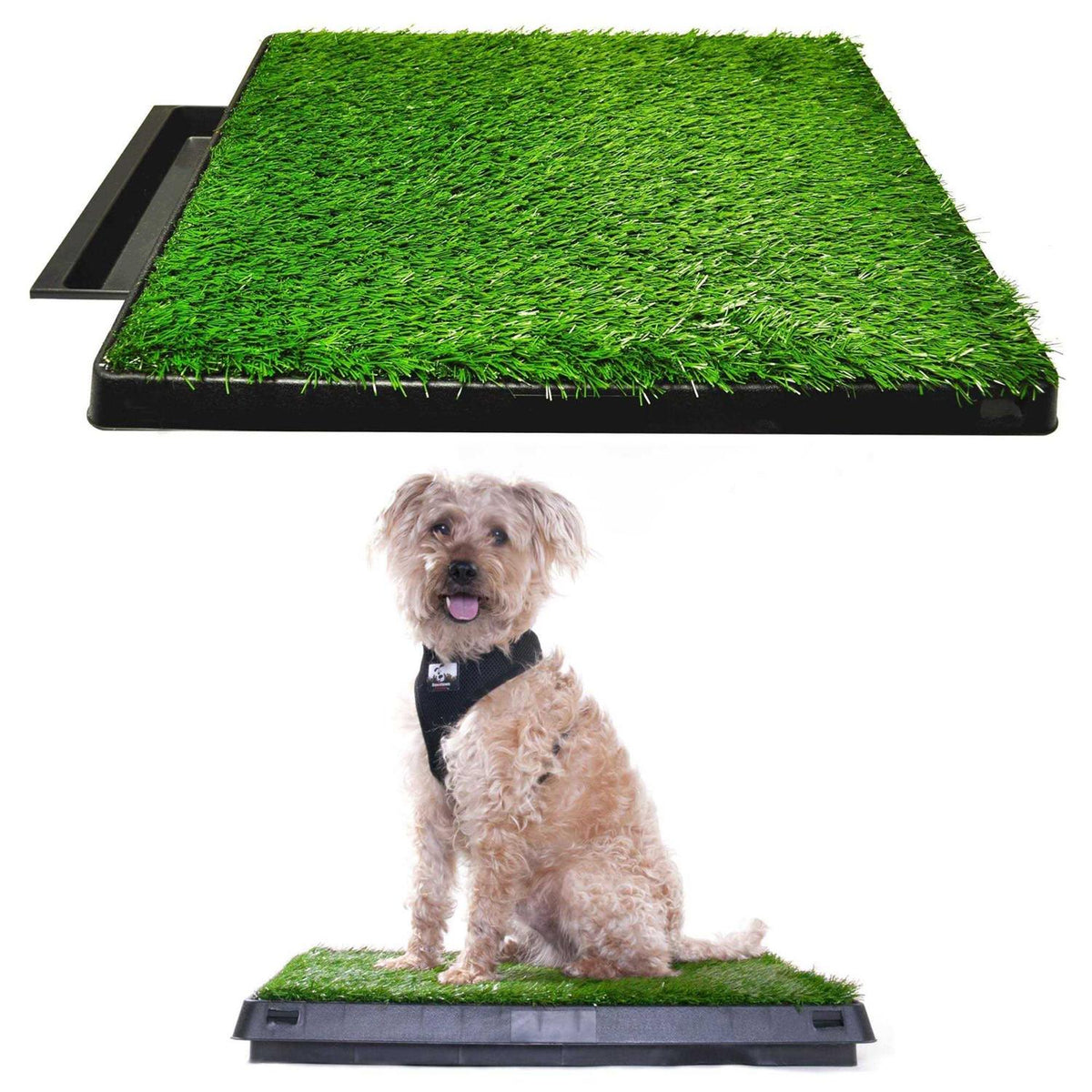 Dog Grass Pad with Tray D499