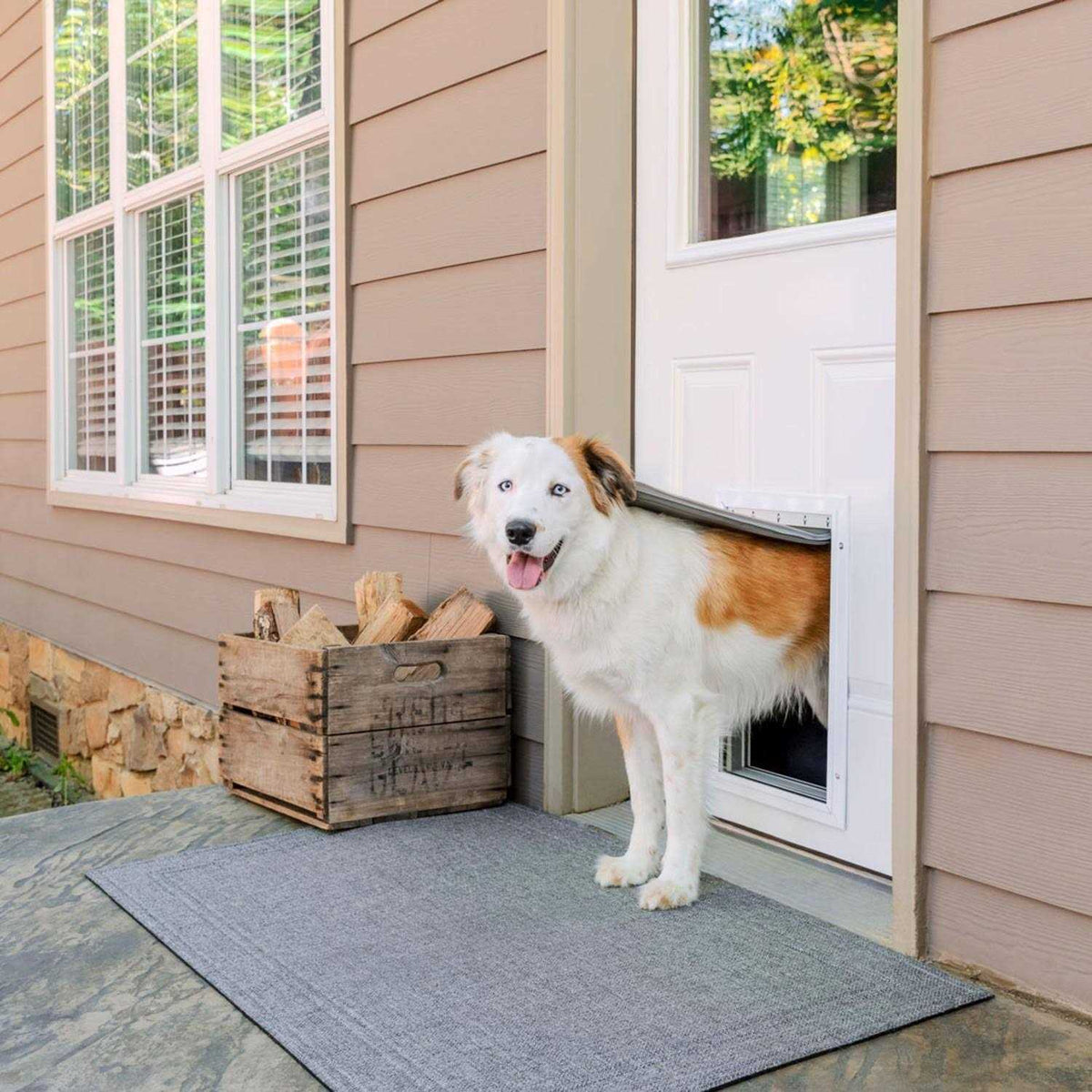 Aluminum Pet Door N1985