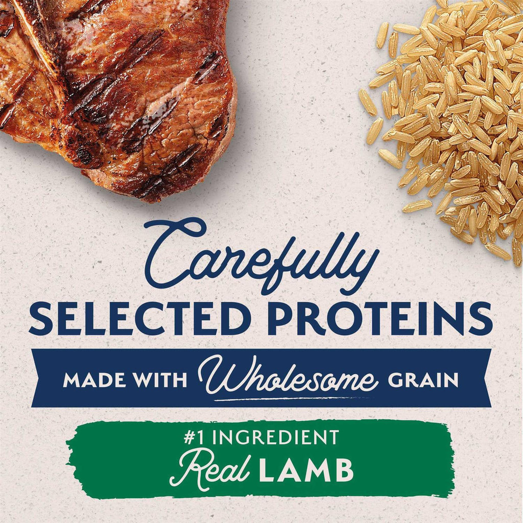 Lamb & Brown Rice Dry Dog Food O69924