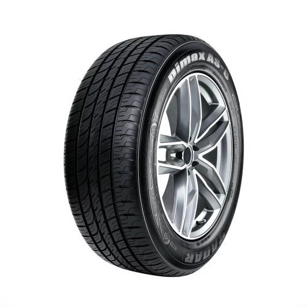 255/50R19 107W All Season Tire P95186