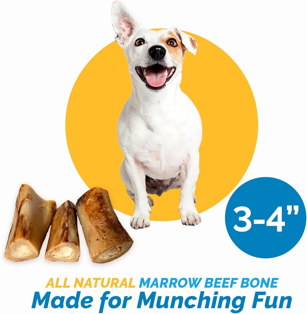 Beef Bone Chews for Dogs 3-4 inches 6 Count V777444