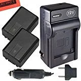 2 Batteries and Battery Charger V32184