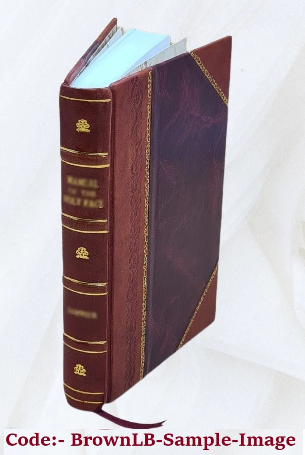 Toilette d'une Romaine et cosmétiques d'une Parisienne Leather Bound A2133