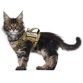 Tactical Cat Harness Soft Mesh Adjustable Pet Vest Harness Y4668