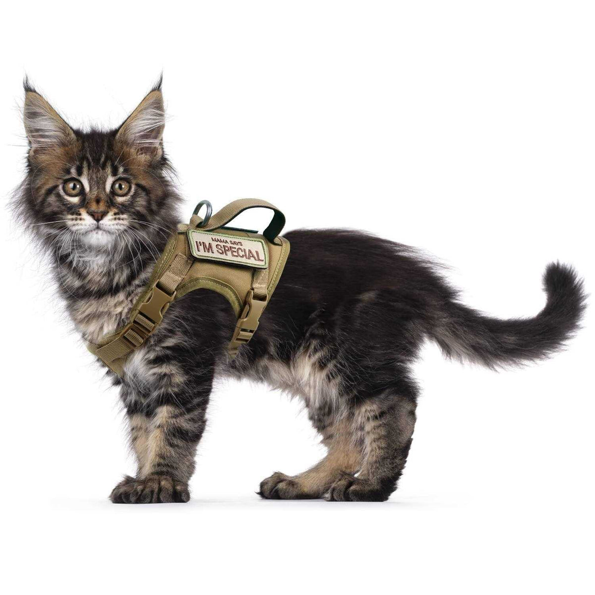 Tactical Cat Harness Soft Mesh Adjustable Pet Vest Harness Y4668