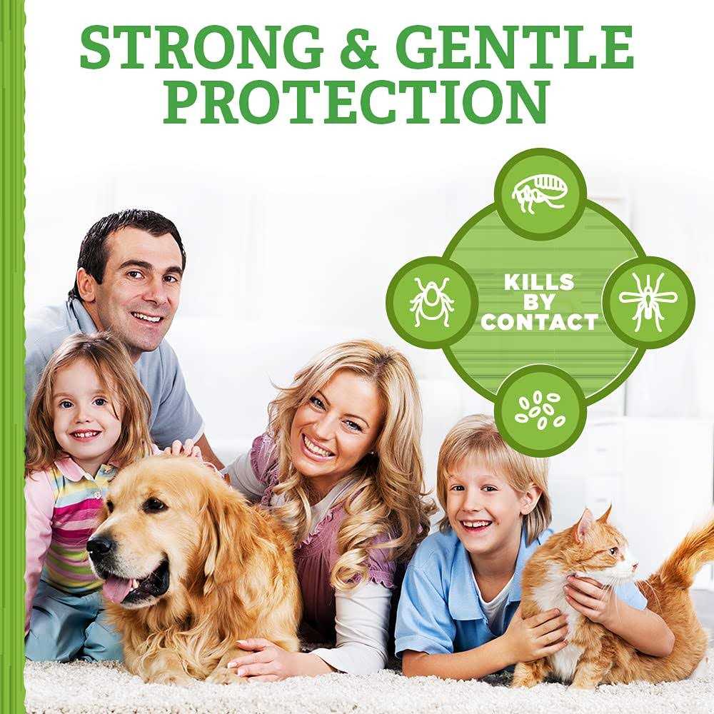 Flea and Tick Carpet Powder D7167
