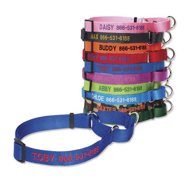 Martingale Collar K61651
