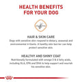 Sensitive Skin Care Dry Dog Food V723174