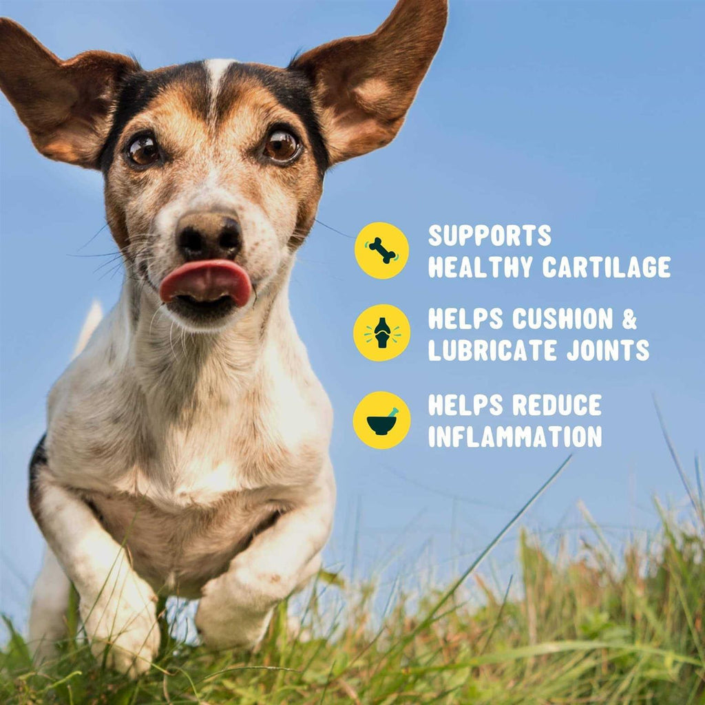 Glucosamine for Dogs Hip and Joint Supplement with Chondroitin, Turmeric, and Msm T763795