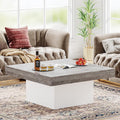 Grey and White Engineered Wood Coffee Table R5877