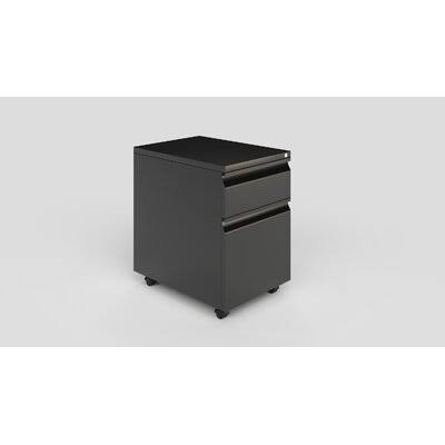 Black/Gray 2-Drawer Mobile Vertical Filing Cabinet N535363