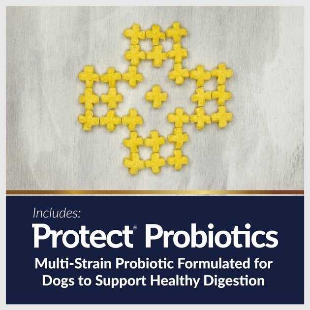 Digestive Care + Weight Management Dog Treats 20 oz E441