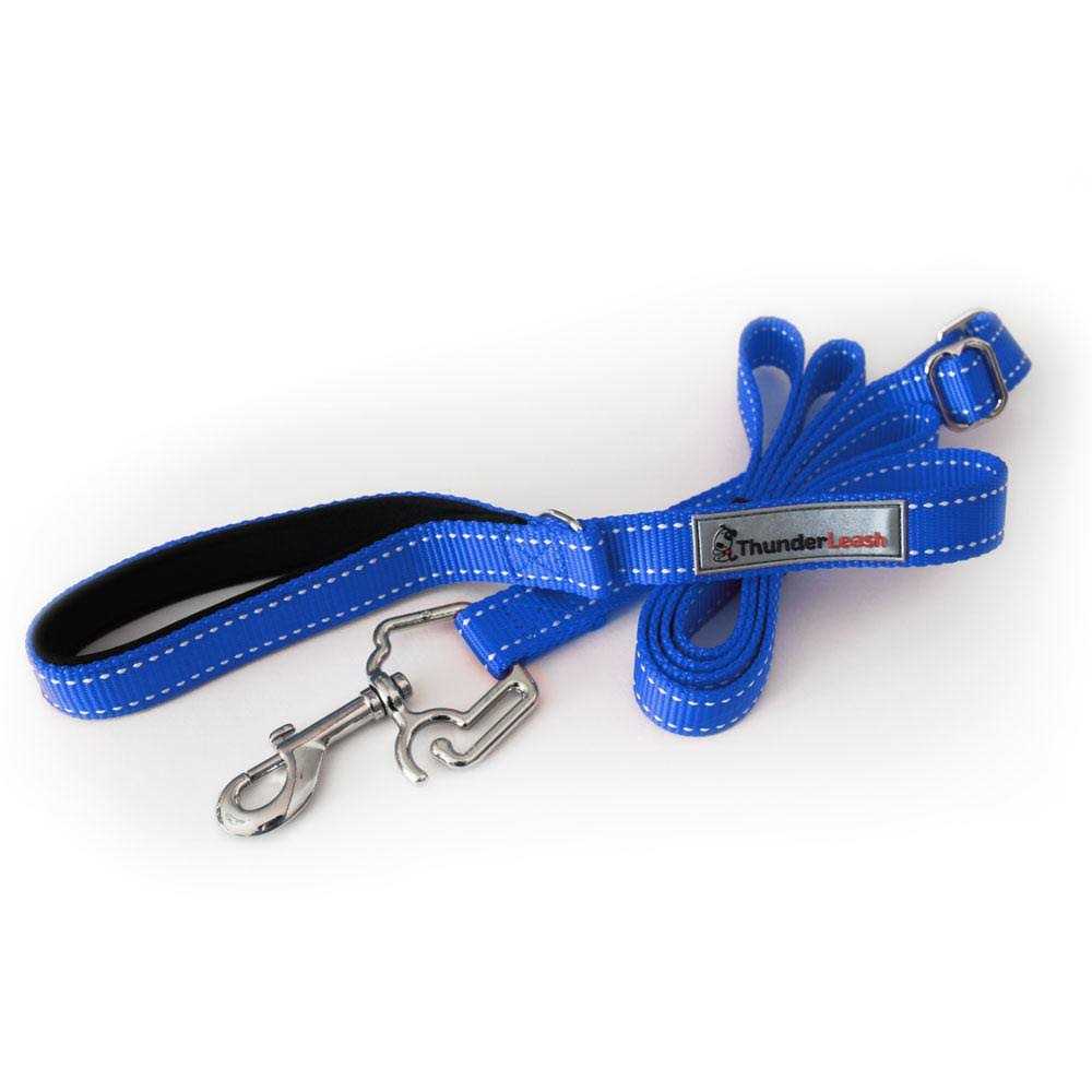 Dog Leash I629747