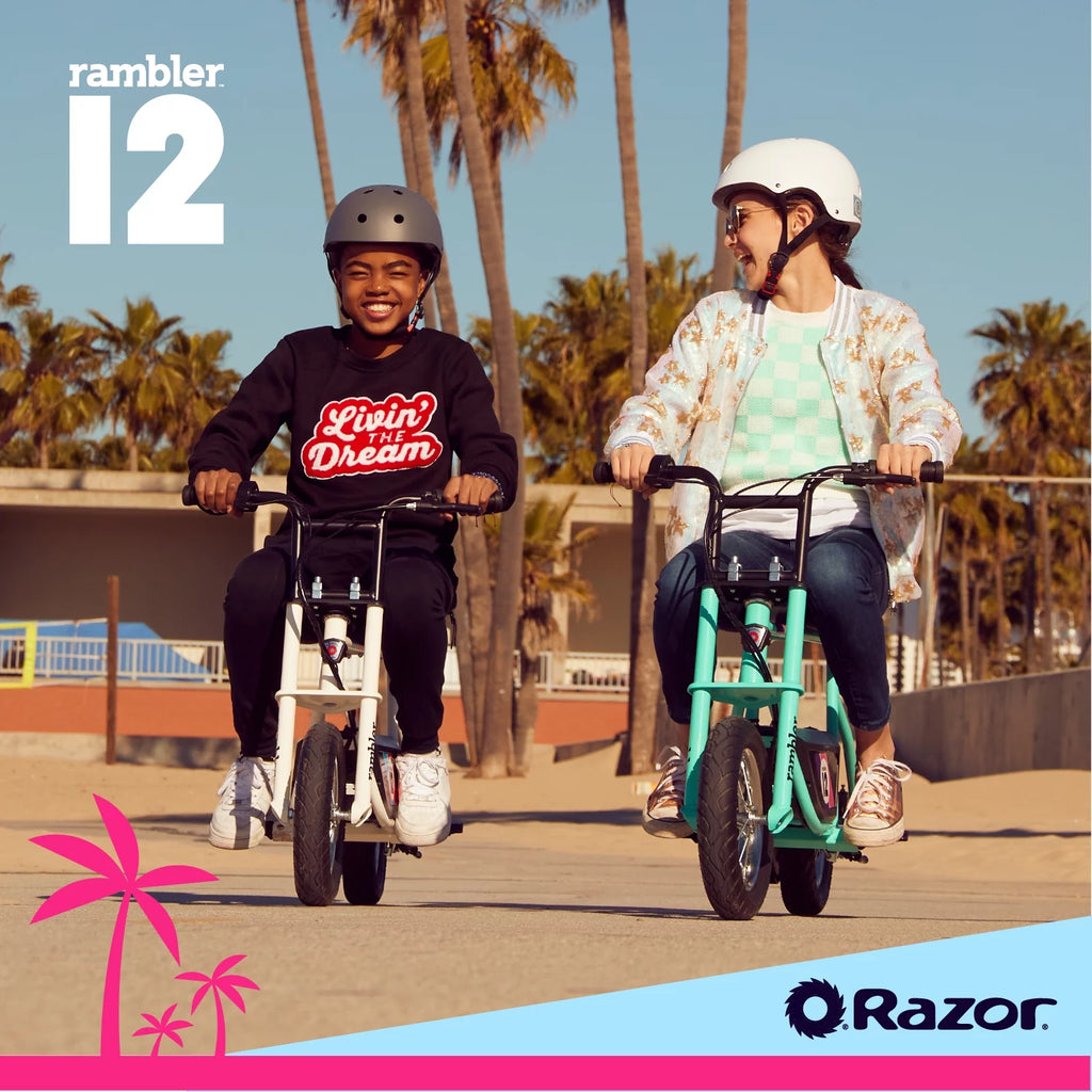 White 12 Air-Filled Tires Seated Electric Scooter M201