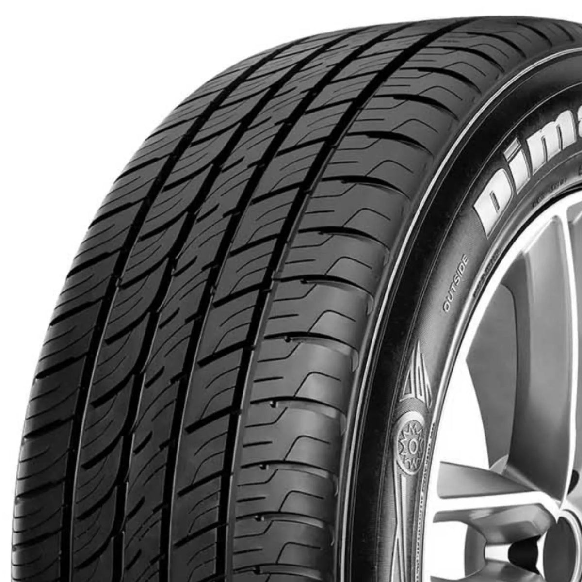 255/50R19 107W All Season Tire P95186