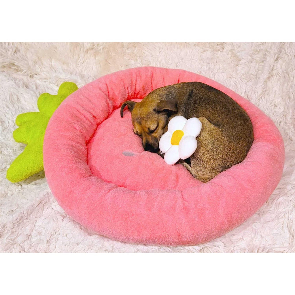 Soft Plush Small Dog Cat Bed O981