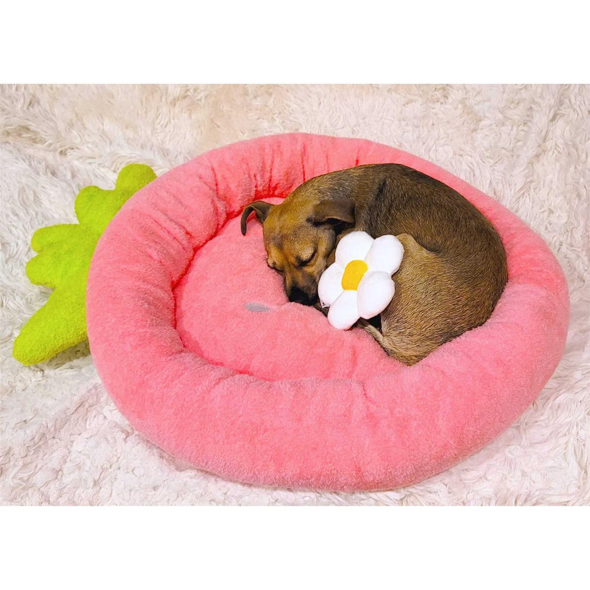 Soft Plush Small Dog Cat Bed O981