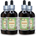 Organic Moringa Oleifera Alcohol-Free Liquid Extract 4x120 ml R6872
