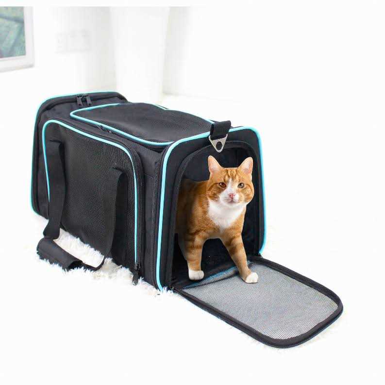 Soft-Sided Pet Carrier L1055