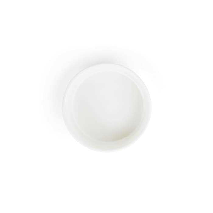 Ceramic Dog Bowl E74711