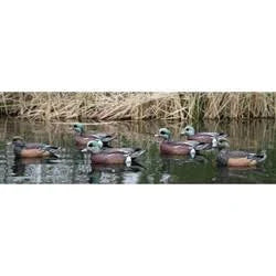 6 Pack Widgeon Decoys F179375