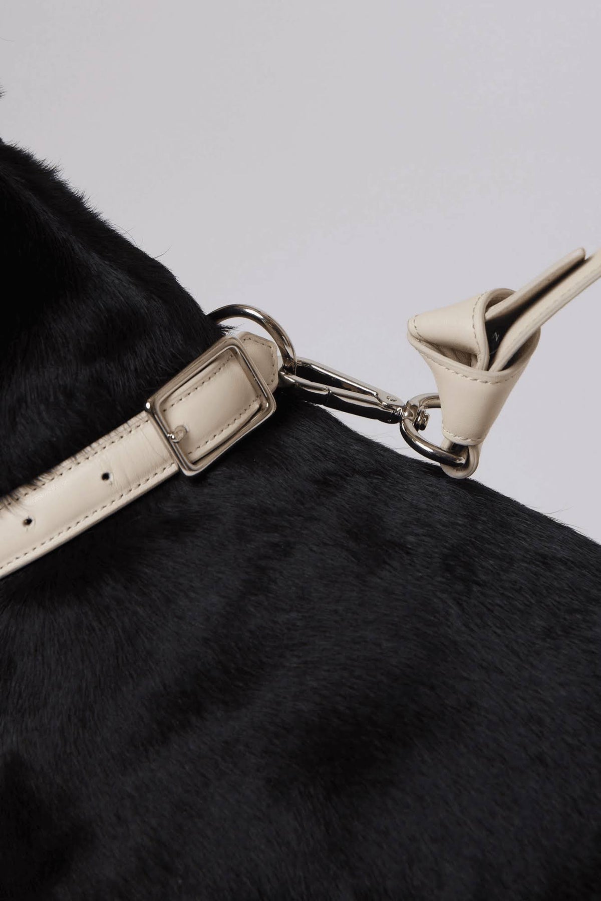 Leather Dog Collar T728960