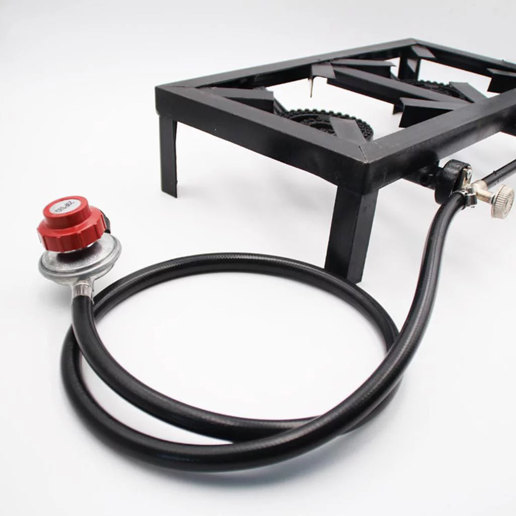 Double Burner Cooker F21687
