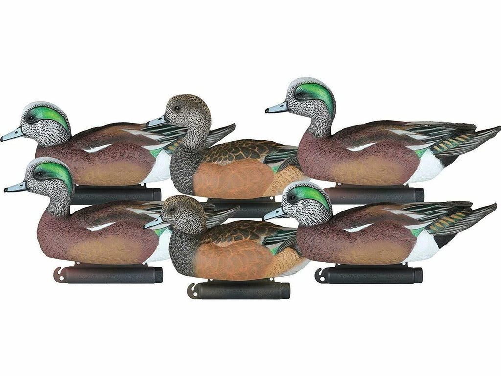 6 Pack Widgeon Decoys F179375