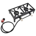 Double Burner Cooker F21687