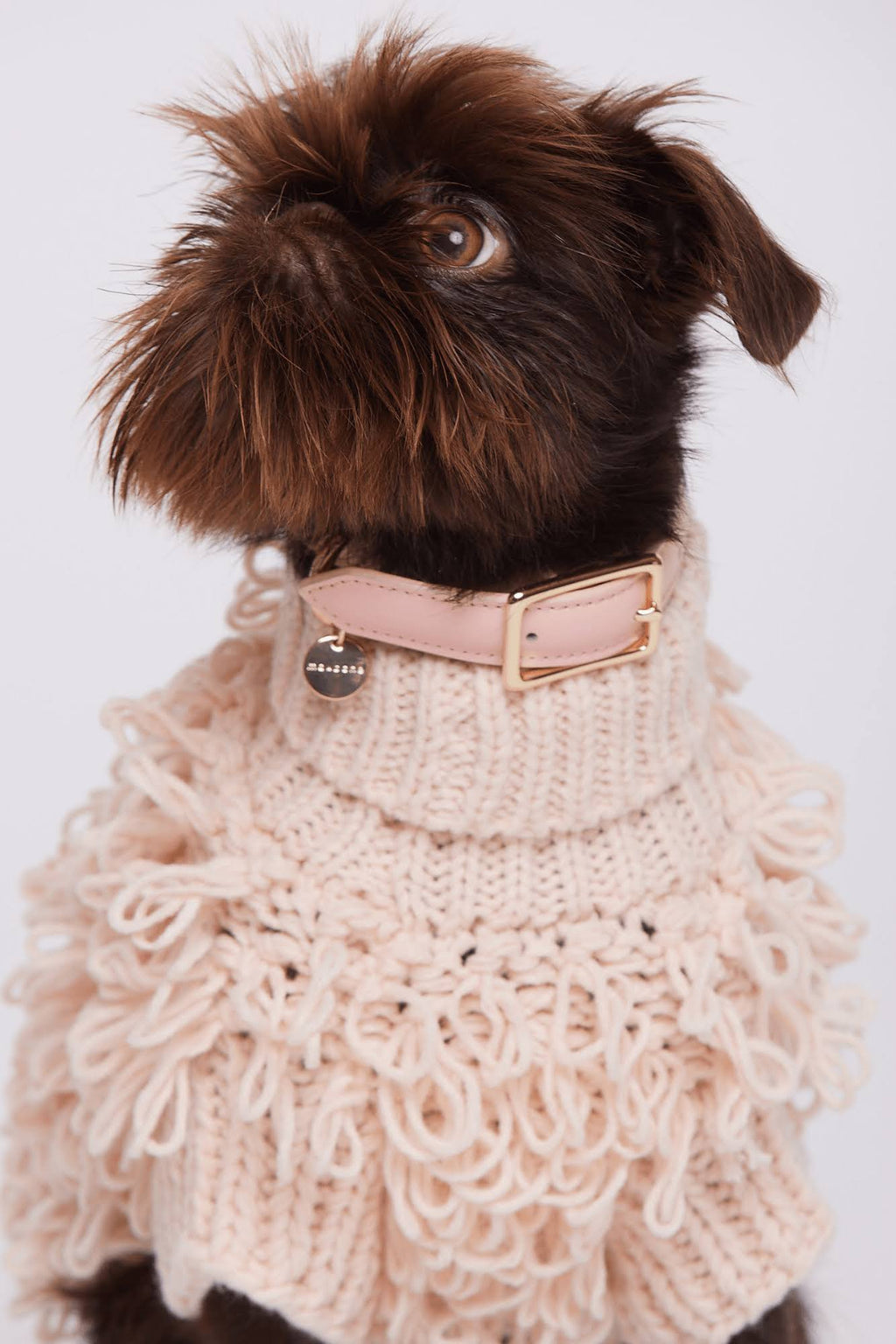 Leather Dog Collar T728960