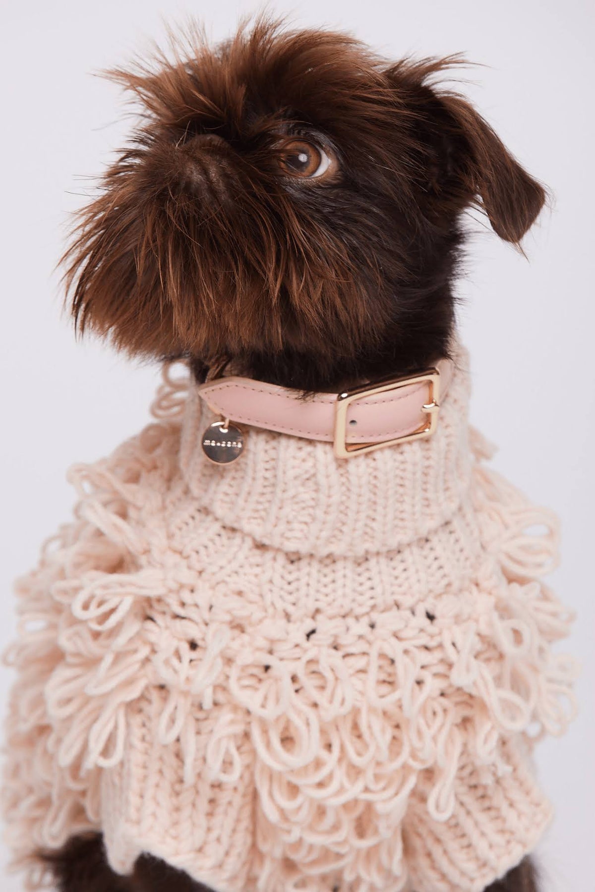 Leather Dog Collar T728960