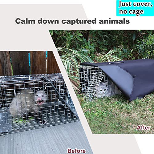 32 Inch Heavy Duty Folding Animal Trap Cage with Cover 2 Packs O372