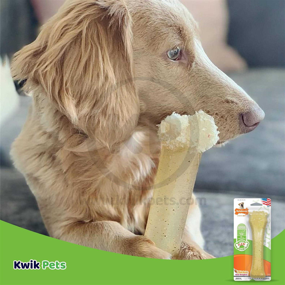 Chicken Chew Bone E17566