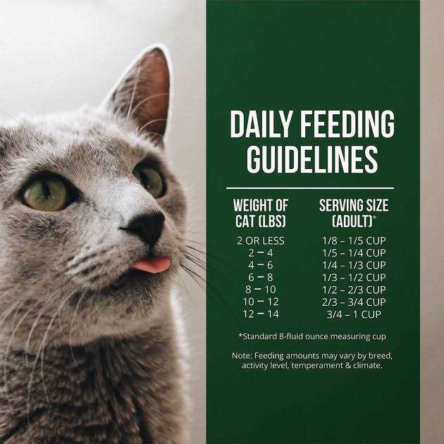 Salmon Chicken Dry Cat Food V8296