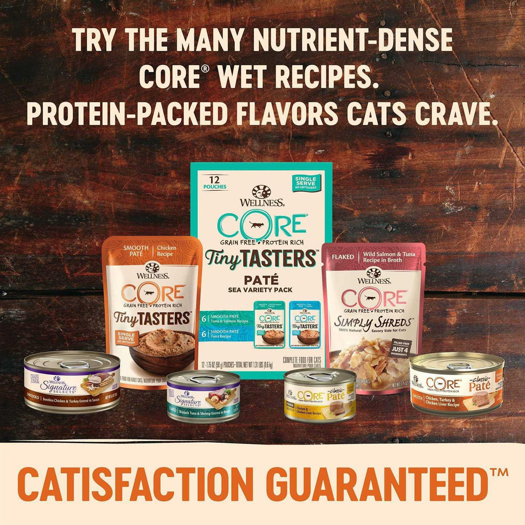 Grain Free Canned Cat Food F1998