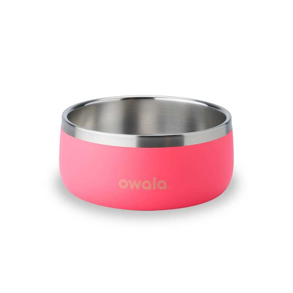 Stainless Steel Food & Water Bowl Q5552