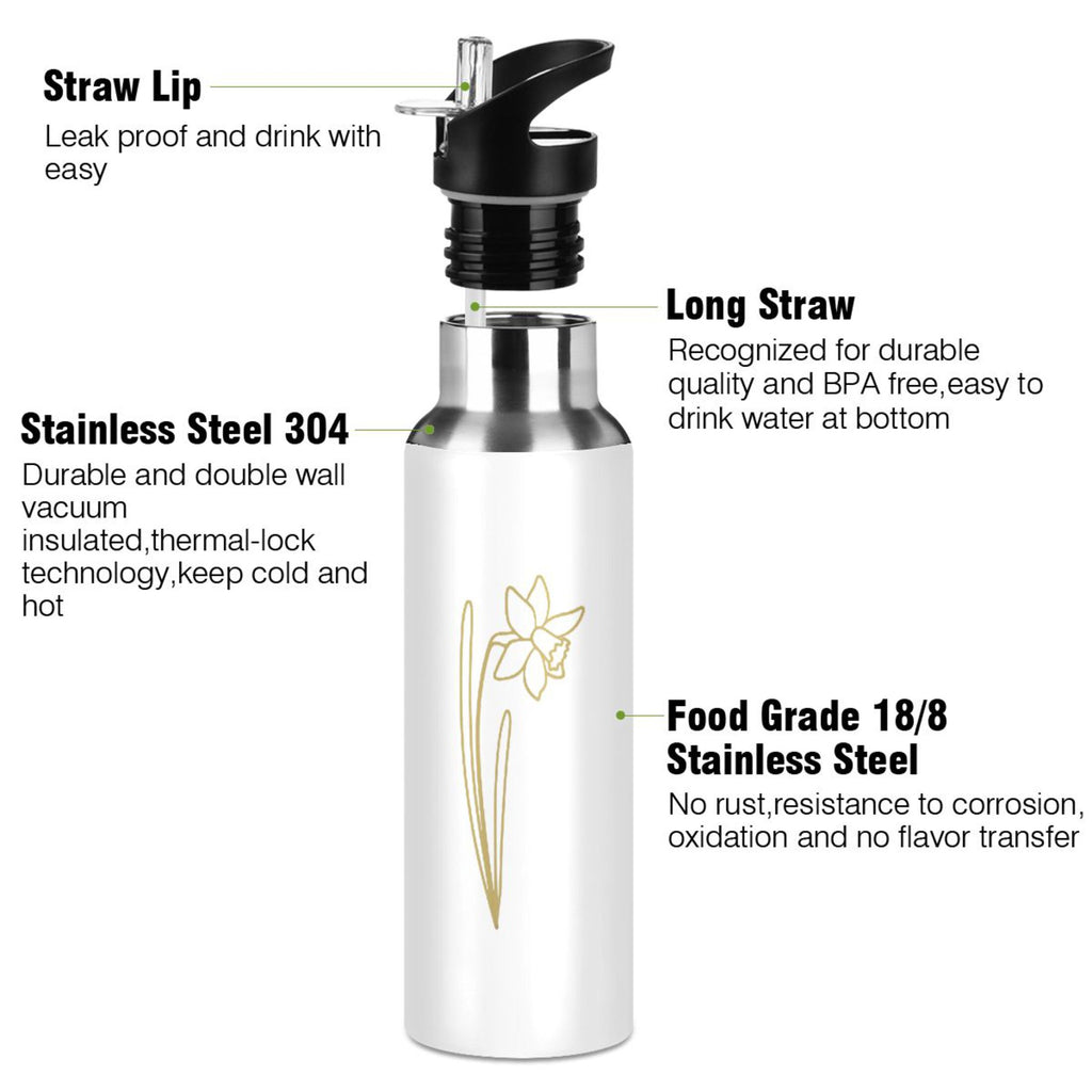 Stainless Steel Insulated Water Bottle with Straw Lid J930