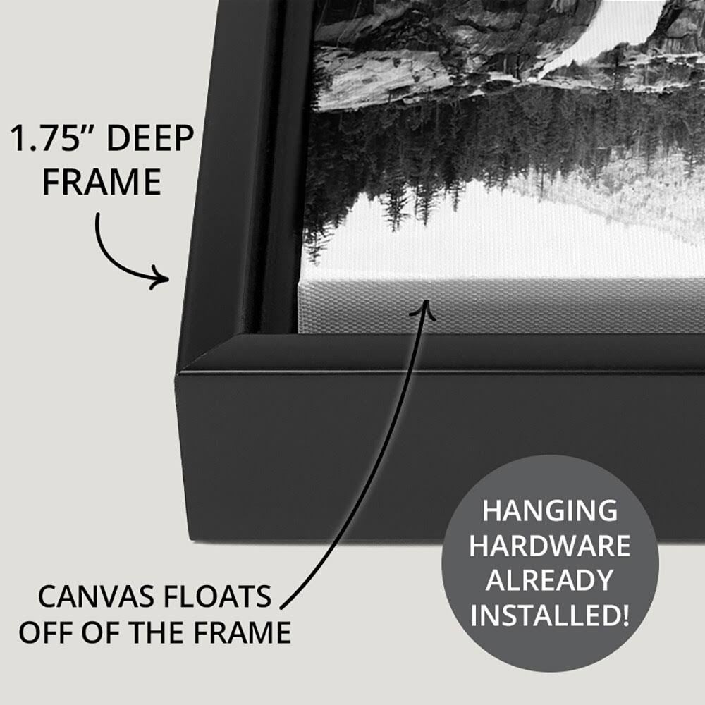 Black Float Frame Canvas Art P28077