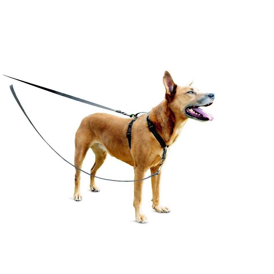 3 in 1 Harness with Two Point Control Leash D704