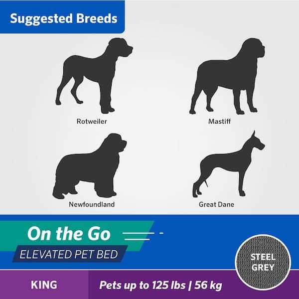 Elevated Pet Bed C7541