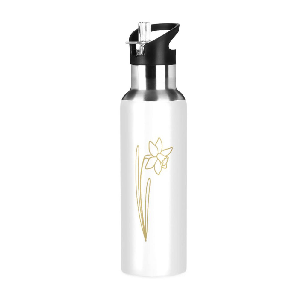 Stainless Steel Insulated Water Bottle with Straw Lid J930