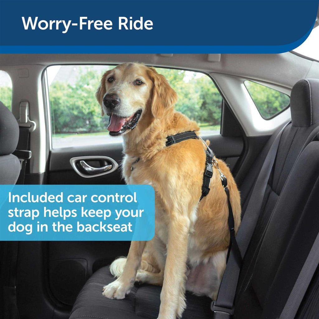 3 in 1 Harness with Two Point Control Leash D704
