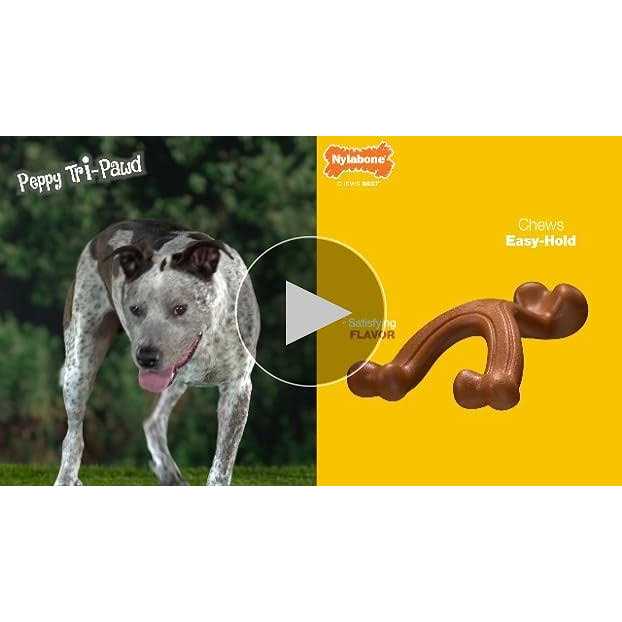Chicken Chew Bone E17566