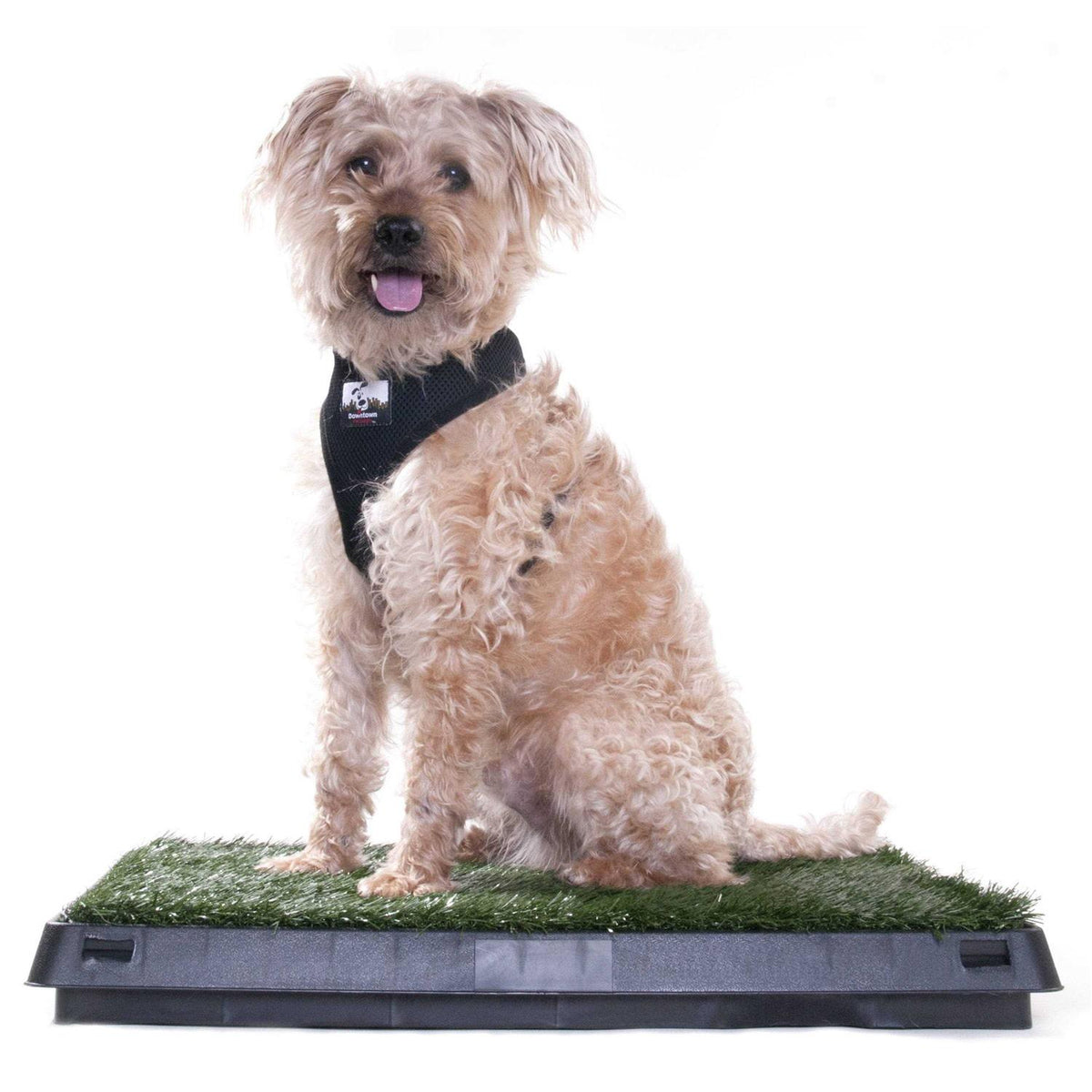 Dog Grass Pad with Tray D499