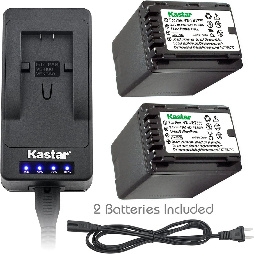 LED Fast Charger & Camcorder Battery X2 M106981