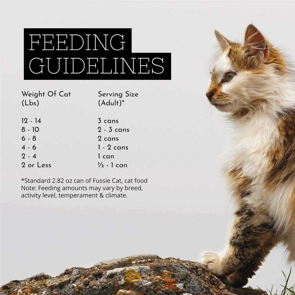 Chicken Gravy Cat Food Y73750