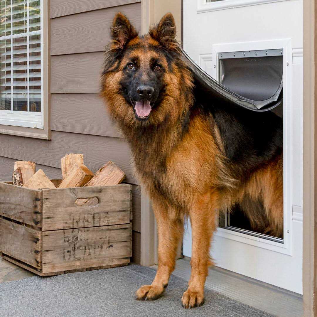 Aluminum Pet Door N1985