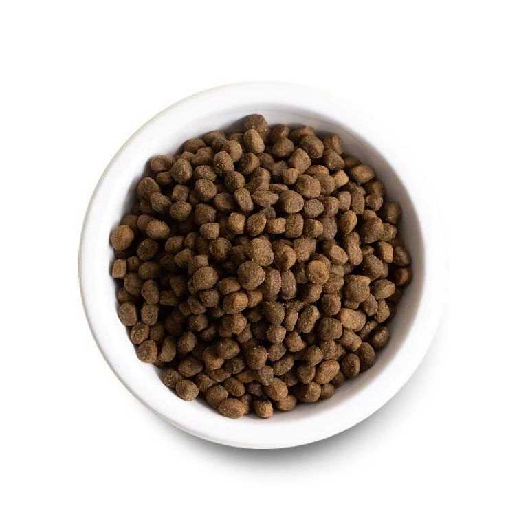 Premium Recipe X58161