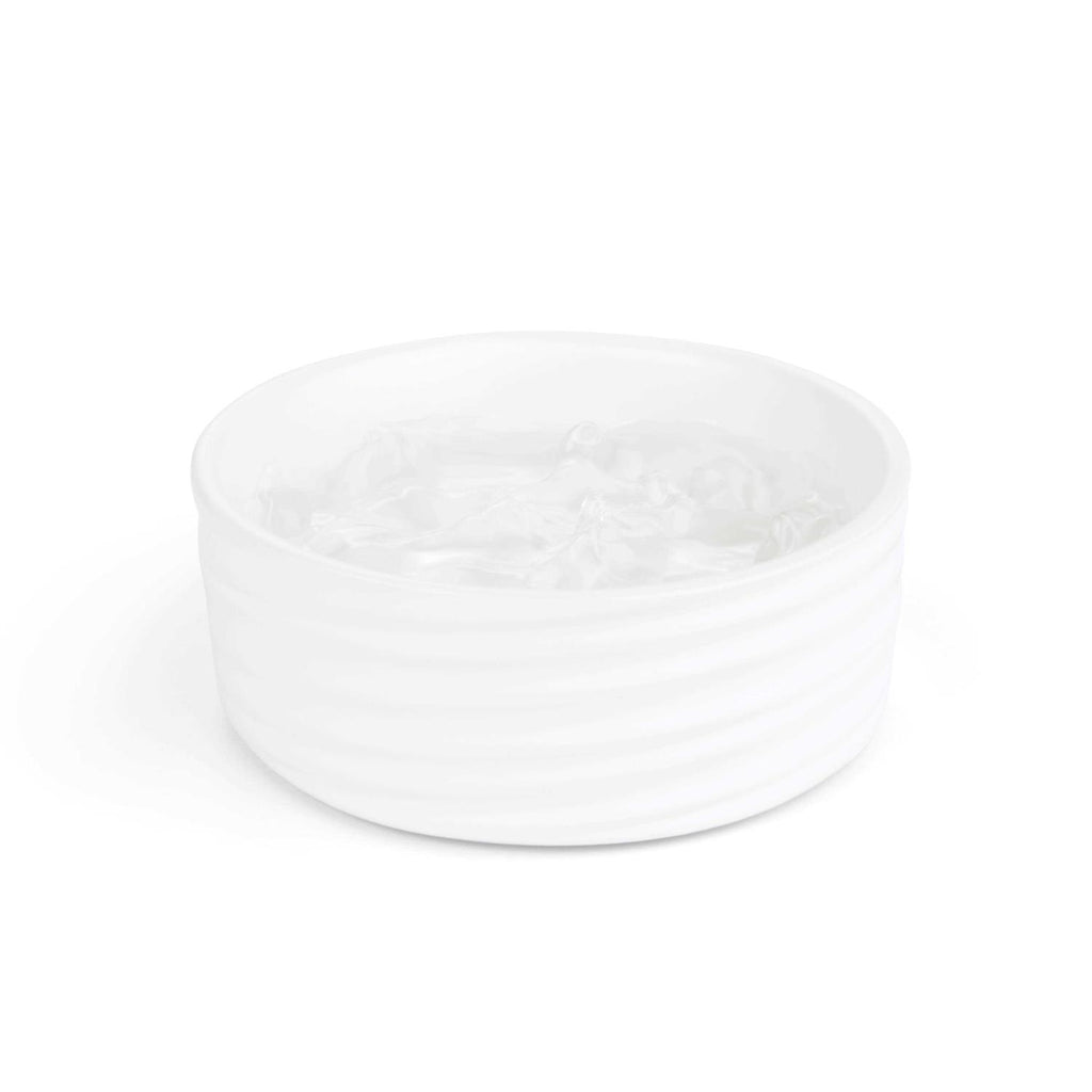 Ceramic Dog Bowl E74711
