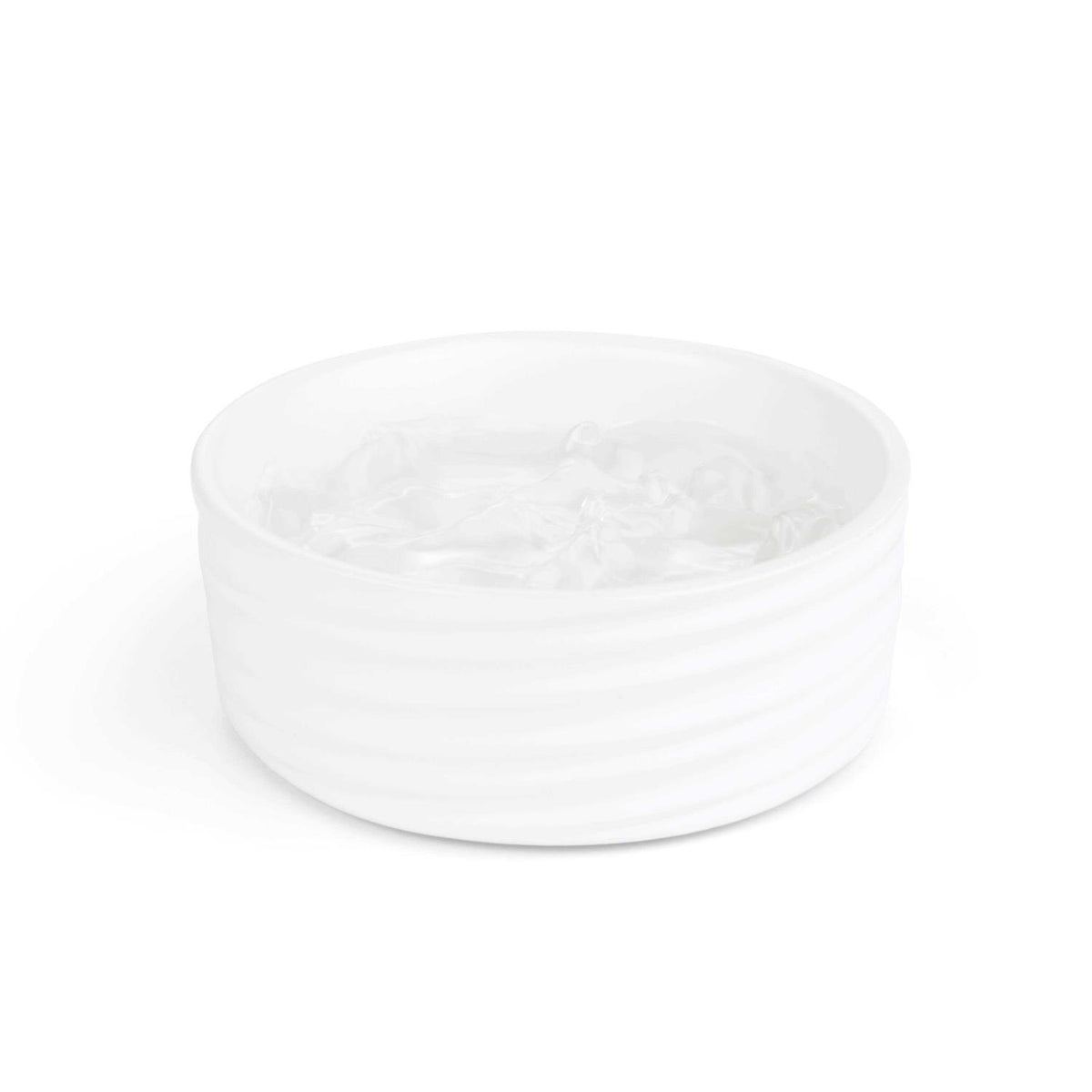 Ceramic Dog Bowl E74711